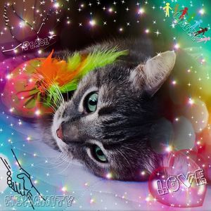 Meet your Posher, Terri